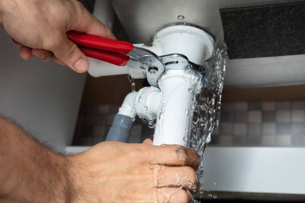 Best Sewage cleanup and water damage restoration  in Wagon Wheel, AZ