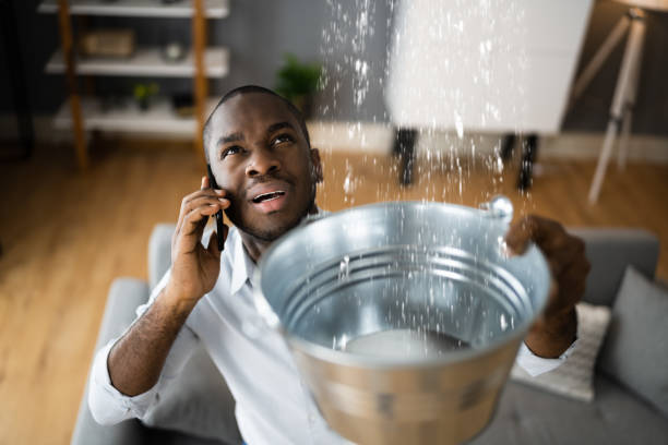 Best Basement water damage restoration  in Wagon Wheel, AZ
