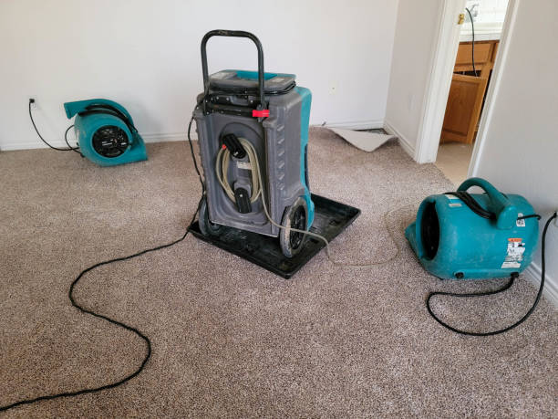 Best Water damage restoration near me  in Wagon Wheel, AZ