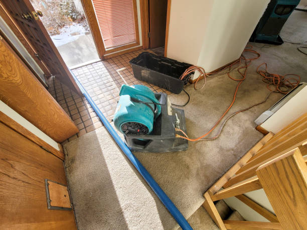 Best Sewage cleanup and water damage restoration  in Wagon Wheel, AZ
