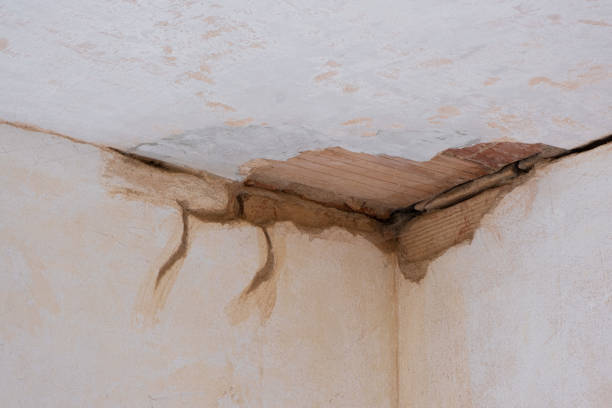 Best Flood damage cleanup  in Wagon Wheel, AZ