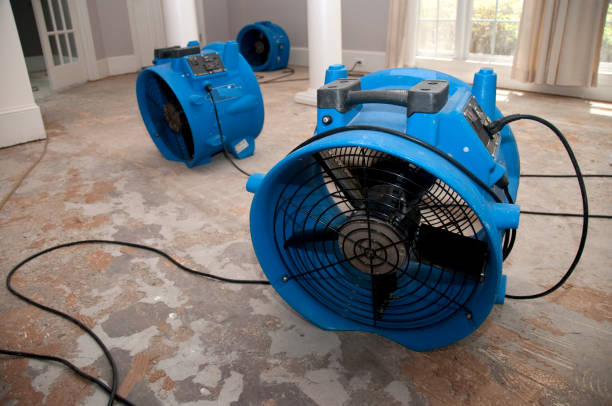 Best Flood damage cleanup  in Wagon Wheel, AZ