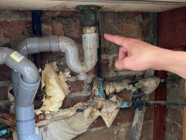 Best Water damage cleanup near me  in Wagon Wheel, AZ