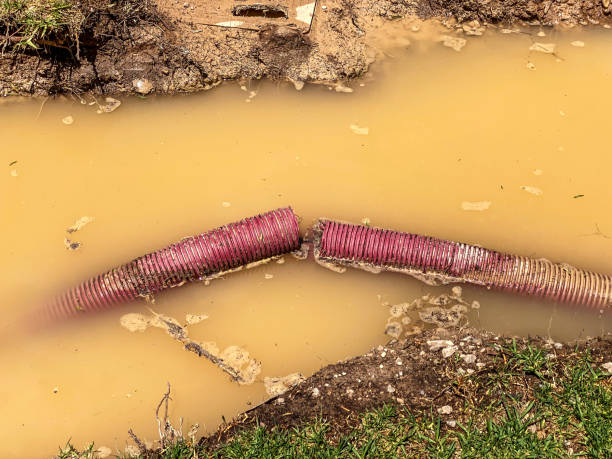Best Water damage contractors near me  in Wagon Wheel, AZ